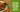 Arden's Garden Vegan Cafes and Restaurants FIFA title tag