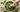 Arden's Garden’s Vegan Green Goddess Dressing