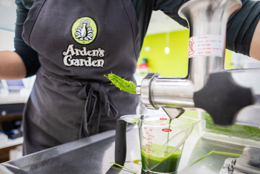 arden's garden making green juice and benefits