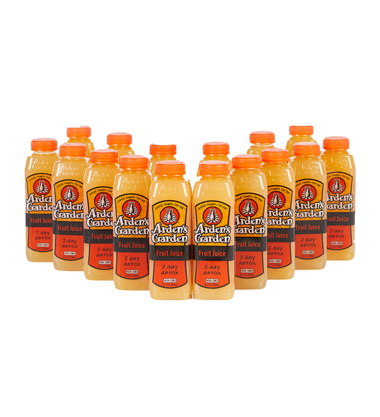 【2回分】1DAY CLEANSE SET GAYU & VEGGIE SOUP 1DAY CLEANSE SET GAYU & VEGGIE SOUP