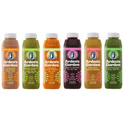 Wellness Cleanse