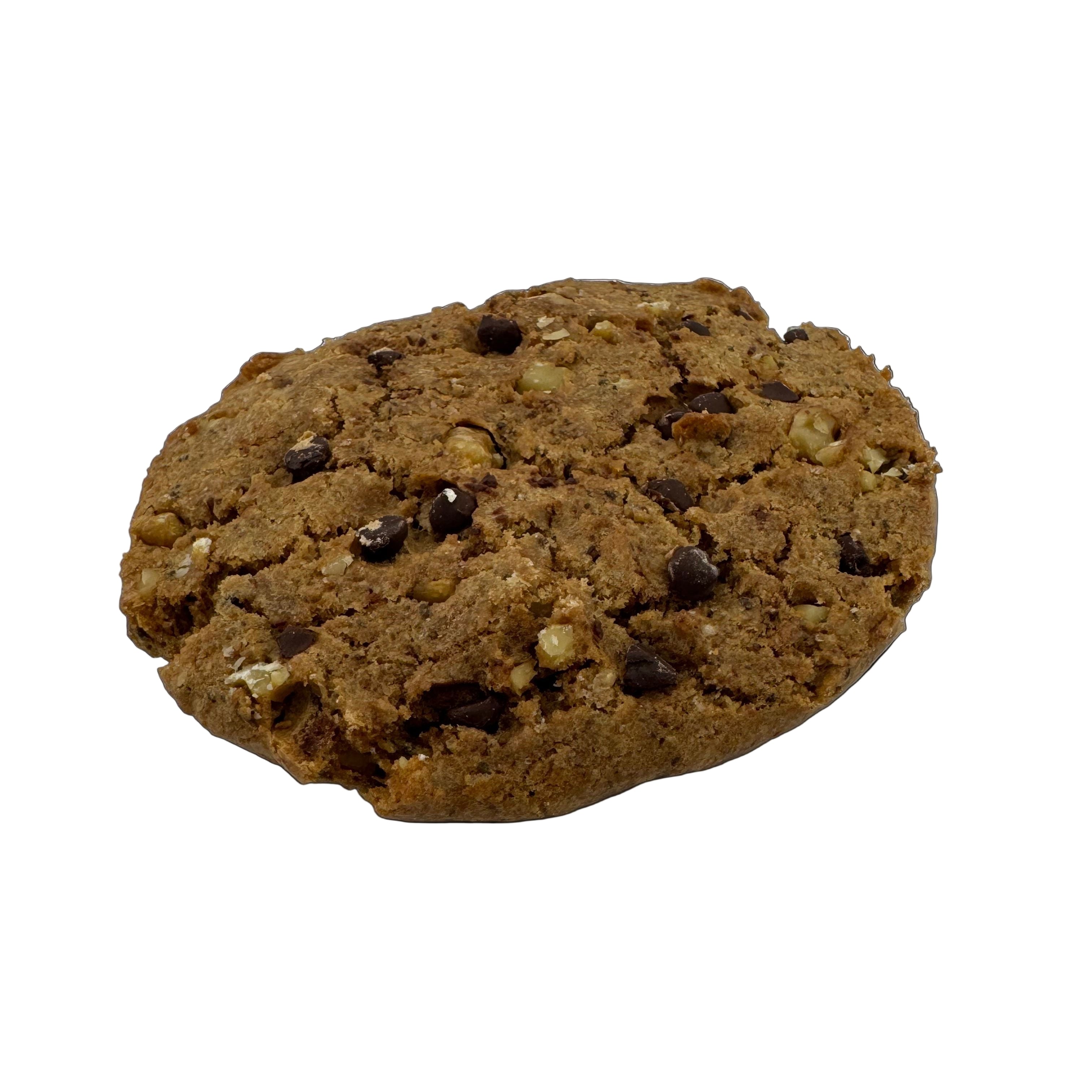 Chocolate Chip Walnut Cookie